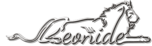 Leonide Interiors Logo